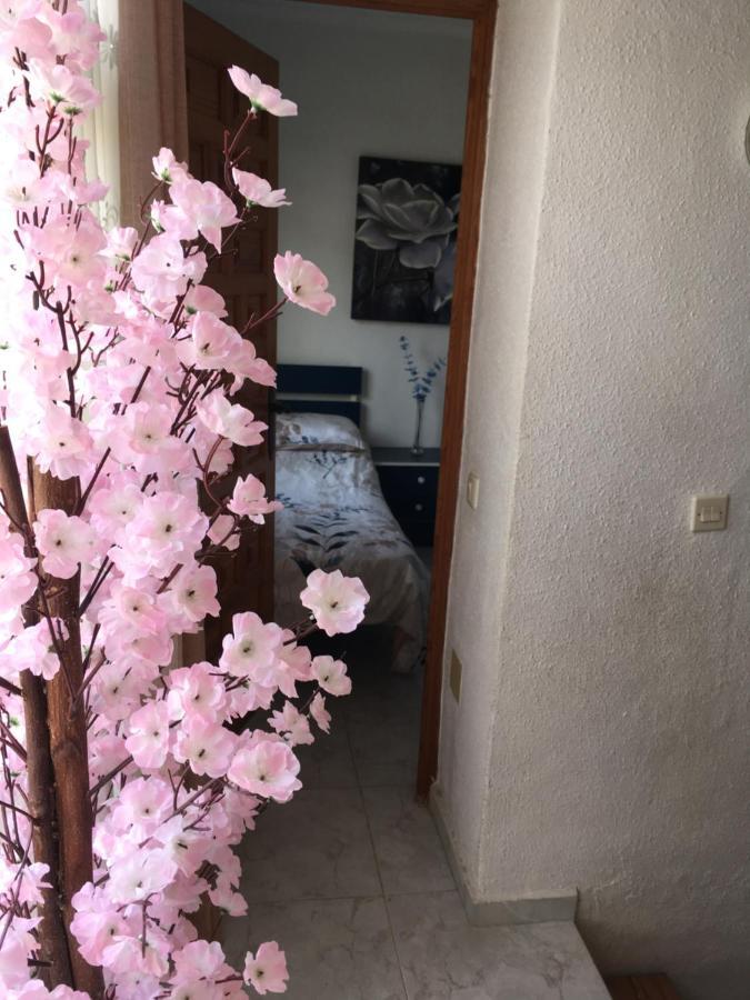 Casa Phoenix Bed & Breakfast Bed and Breakfast La Mariña Exteriör bild