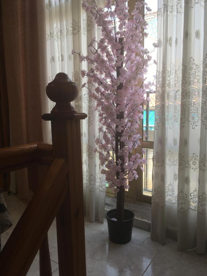 Casa Phoenix Bed & Breakfast Bed and Breakfast La Mariña Exteriör bild